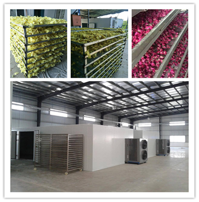 石家莊宏濤蔬菜食品干燥機 果蔬烘干設備價格解析與選購指南